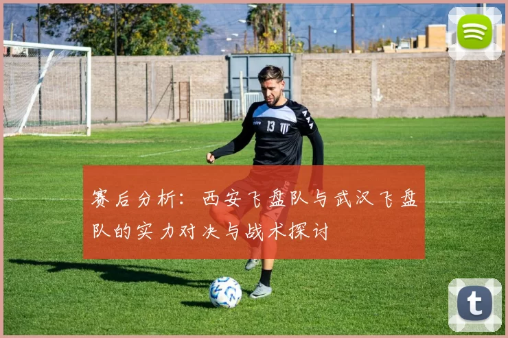 赛后分析：西安飞盘队与武汉飞盘队的实力对决与战术探讨
