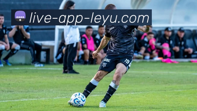 leyu乐鱼体育app下载平台生态图