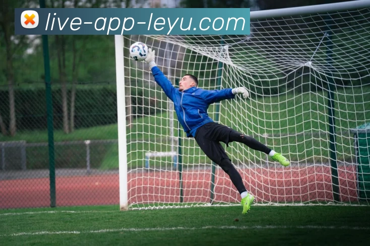 leyu乐鱼体育app下载APP 封面图