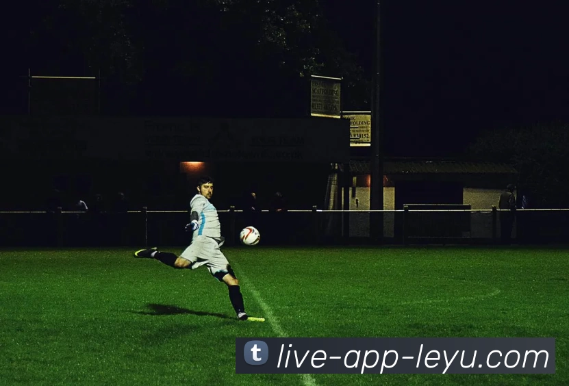 leyu乐鱼体育app下载全站App